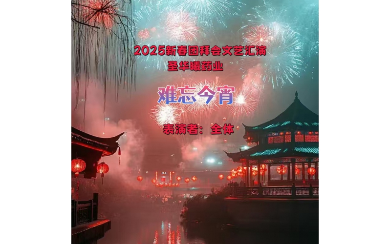 2025新春团拜会文艺汇演---难忘今宵