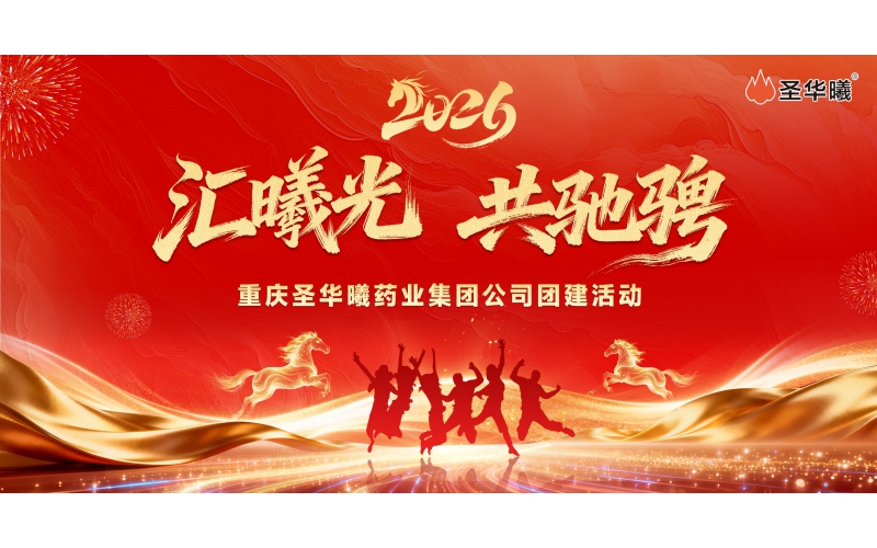 2026年5月&ldquo;汇曦光  共驰骋&rdquo;团建活动集锦